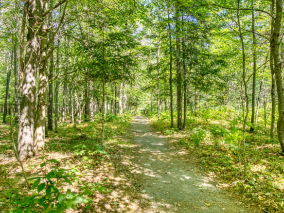 Sentier boisé d'un camping à vendre dans les Laurentides, près de Mont-Tremblant. Idéal pour les randonnées pédestres ou les balades à vélo