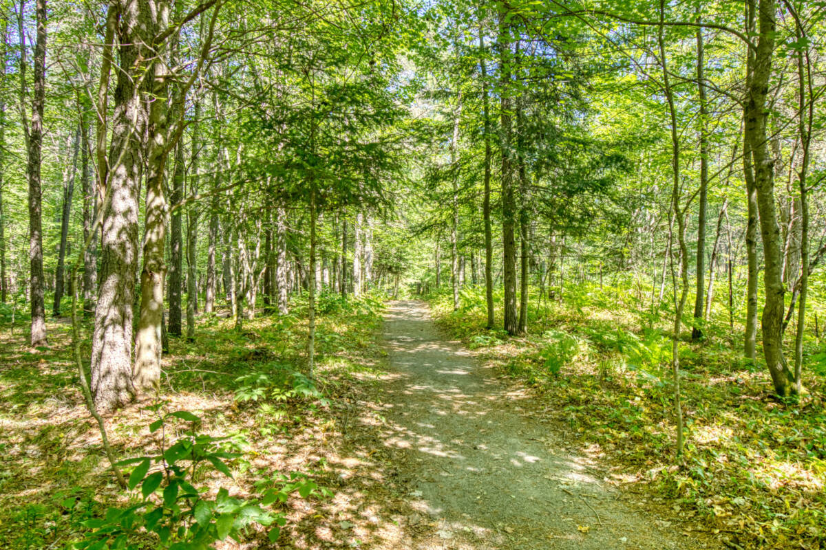 Sentier boisé d'un camping à vendre dans les Laurentides, près de Mont-Tremblant. Idéal pour les randonnées pédestres ou les balades à vélo