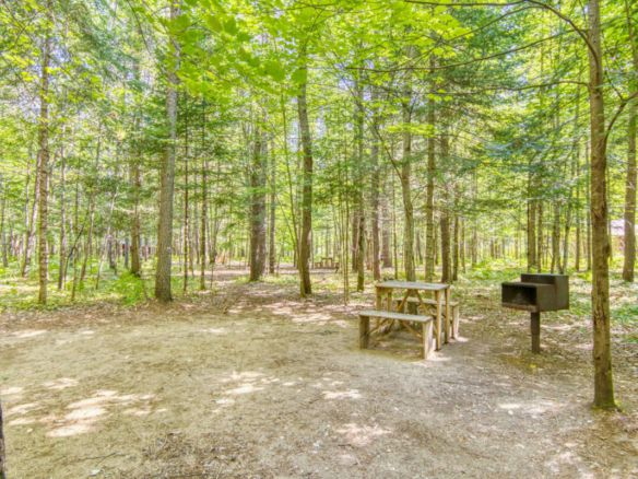 Emplacement de camping rustique et boisé avec table de pique-nique et foyer. Un site de camping à vendre dans les Laurentides, près de Mont-Tremblant