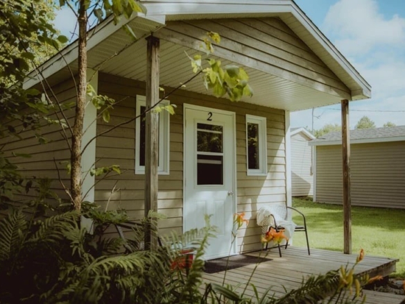 Photo d'une charmante cabane de camping n°2, faisant partie d'un camping à vendre, avec une porte blanche, un porche en bois et entourée de fougères verdoyantes sous un ciel clair.