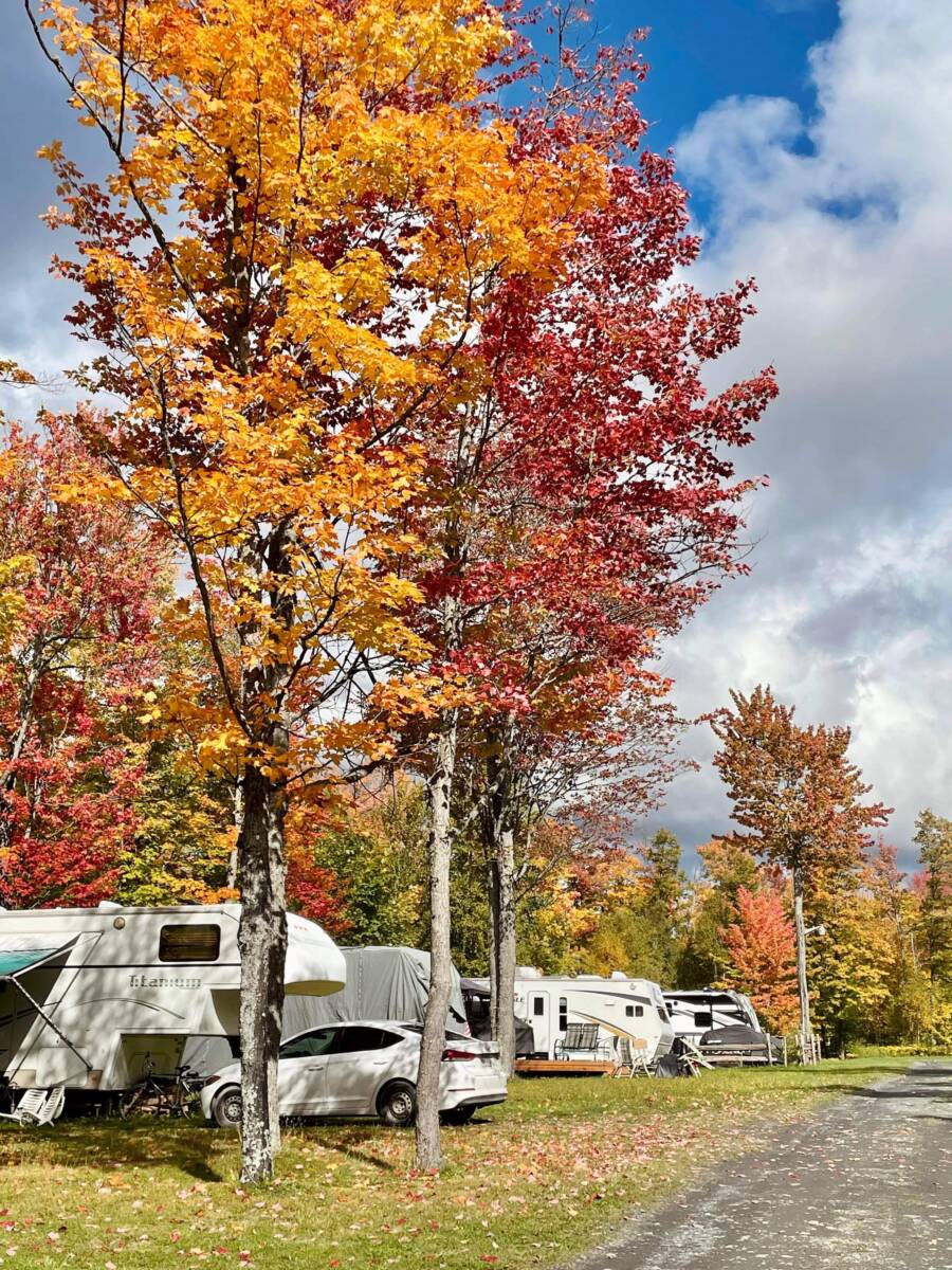 Plusieurs véhicules récréatifs et caravanes de luxe stationnés sur des emplacements herbeux sous de grands arbres aux feuilles d'automne rouges et jaunes, bordés par un chemin de gravier.